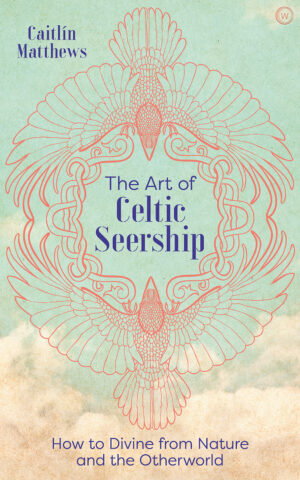 book cover the art of celtic seership