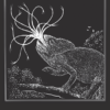 Ghosts, Monsters, and Demons of India - Image 5
